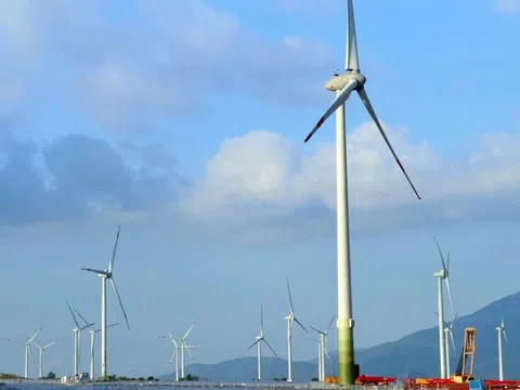 2 nhà máy điện gió được EVN duyệt giá mua điện tạm thời