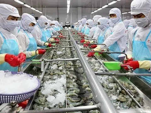 VASEP: Trung Quốc tăng cường nhập khẩu, tôm Việt Nam hưởng lợi