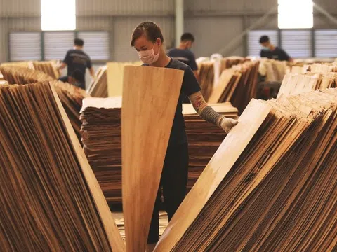 “Khám" sức khỏe của loạt doanh nghiệp ngành gỗ