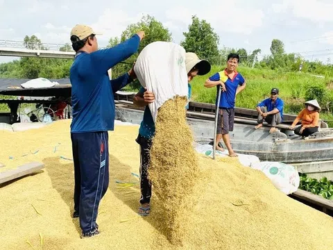 Đẩy mạnh xuất khẩu gạo, tìm giải pháp hỗ trợ từ nguồn tín dụng