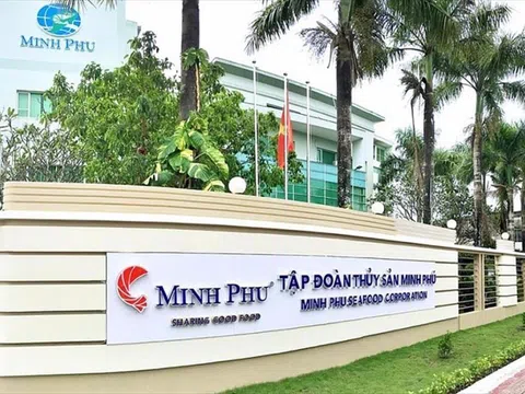 Phong độ của “vua tôm" Minh Phú sau khi trở lại sàn chứng khoán