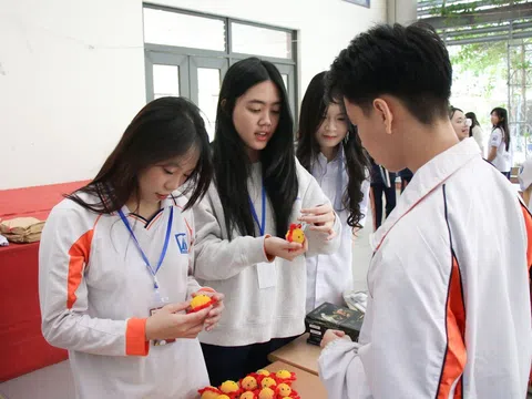 Biến giấy vụn trở thành những "món đồ xanh" thân thiện với môi trường