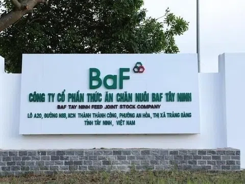 CTCP Nông nghiệp BAF Việt Nam (HOSE: BAF) góp vốn thành lập công ty con mới tại Tây Ninh