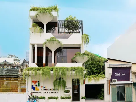 TINI COWORKING: Bản giao hưởng văn phòng xanh thế hệ mới