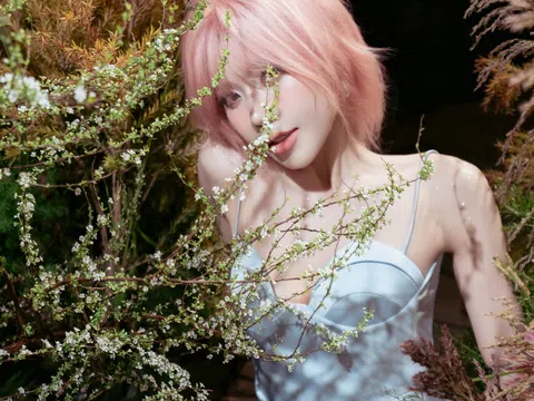 Từ “Chị Đẹp” đến sân chơi quốc tế: Trang Pháp chính thức góp mặt tại Đạp Gió 2026