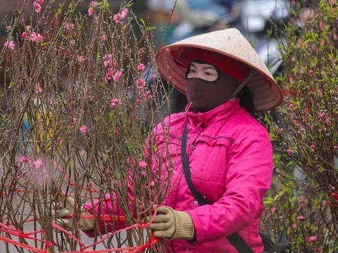 Dự báo thời tiết Tết Nguyên Đán 2025 cả 3 miền Bắc -Trung - Nam