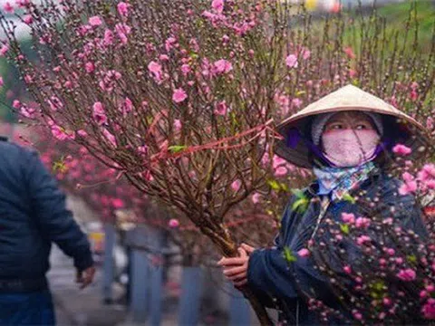 Dự báo thời tiết Tết Nguyên đán Ất Tỵ 2025 cả 3 miền mới nhất: Bắc Bộ sẽ rét hơn Tết 2024