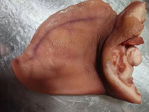 1 bộ phận của con lợn từng bị nhiều người chê: Hóa ra là 'thần dược' mang lại 4 lợi ích ít ai ngờ