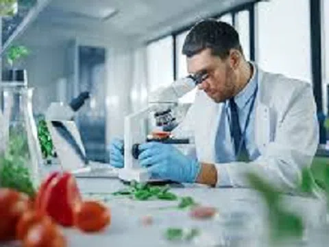 Ngành học ít nổi tiếng nhưng không bao giờ thất nghiệp: Doanh nghiệp cần người hơn cần bằng, thu nhập dễ tới 50 triệu đồng/tháng