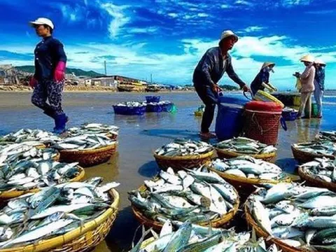 Loại “lộc biển” mang về 1 tỷ USD sau 1 tháng: Brazil tăng mua hơn 100%