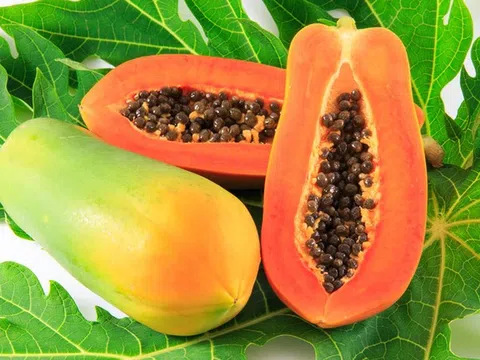 Từng bị “ngó lơ” ở vườn quê, loại quả dân dã này nay lọt top trái cây tốt nhất