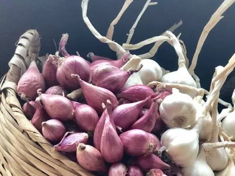 Hành tím, tỏi để lâu không mọc mầm: Chỉ cần làm đúng 3 điều này, để cả tháng vẫn tươi
