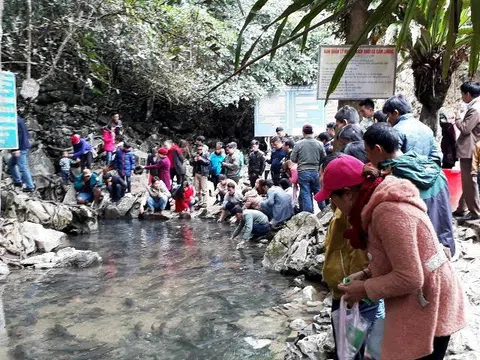 Hàng nghìn du khách chen chân đổ về suối cá thần cầu may dịp đầu năm mới