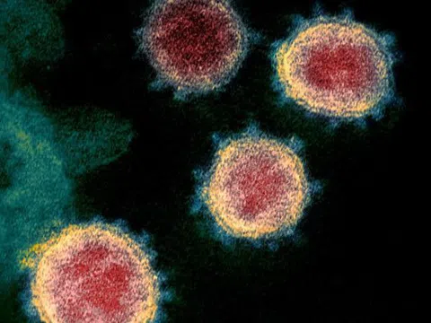 Phát hiện biến thể virus corona mới có nguồn gốc từ Nam Phi