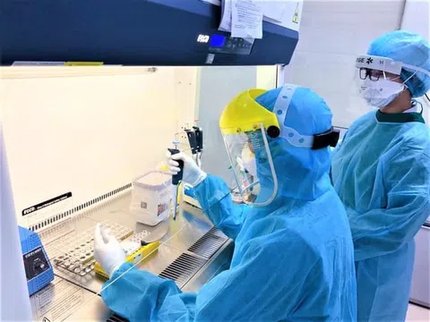 Phương pháp xét nghiệm SARS-CoV-2 "mẫu gộp" của Việt Nam lên tạp chí quốc tế