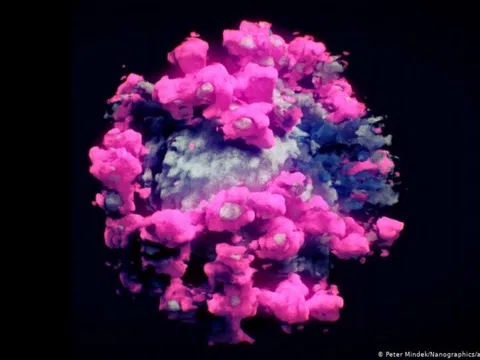 Lần đầu tiên nhóm nghiên cứu quốc tế chụp được ảnh 3D thực của virus SARS-CoV-2