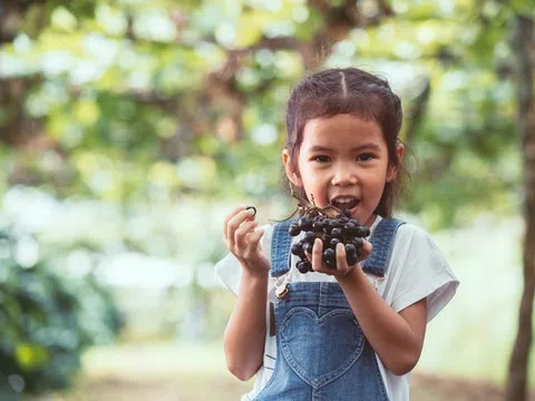 Bé trai 4 tuổi tử vong khi ăn nho, cha mẹ có con nhỏ nhất định phải lưu ý