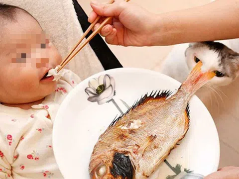 Bé trai 3 tuổi bị xương cá đâm thủng ruột: Lời khuyên để trẻ tránh bị dị vật