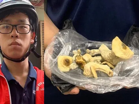 Chân dung "ông trùm" trẻ trồng loại "nấm ma túy" lần đầu xuất hiện tại Hà Nội