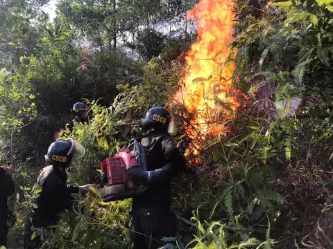 500 cán bộ chiến sỹ trắng đêm dầm mình giữa biển lửa cứu rừng