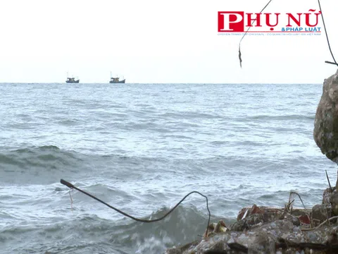 Hải Hậu, Nam Định: Tàu giã cào, kích điện hoạt động rầm rập tại ngư trường ven bờ, chính quyền nói gì? (Bài 3)