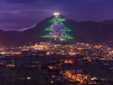 7 cây thông Noel rực rỡ nhất Giáng sinh năm nay