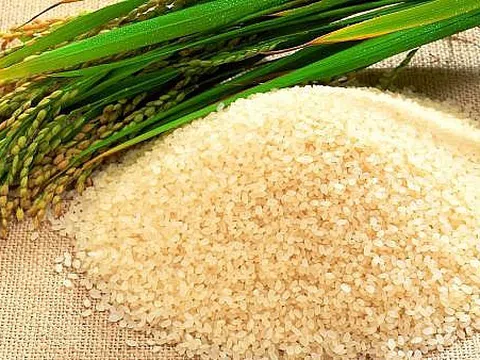 Giá gạo hôm nay 30/6: Trầm lắng