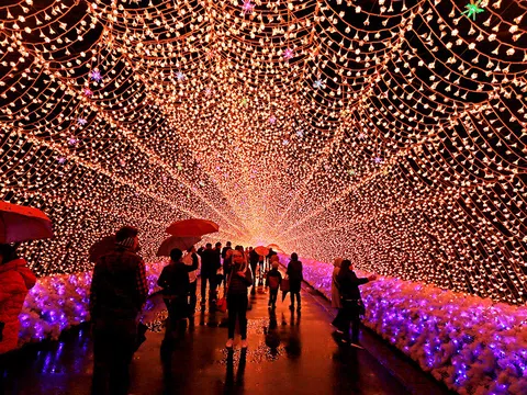 Nhật Bản: Độc đáo lễ hội ánh sáng tại công viên Nabana no Sato