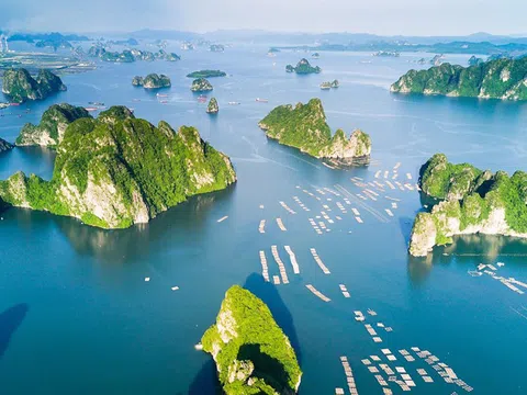 Video: Việt Nam đẹp thơ mộng dưới ống kính khách du lịch quốc tế