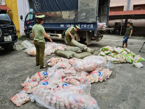 Hà Giang: Tịch thu hơn 1,1 tấn chả cá, sủi cảo không rõ nguồn gốc