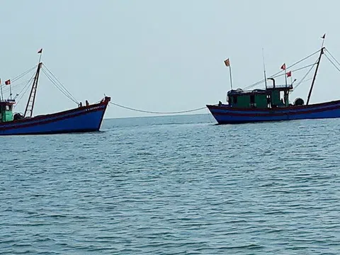 Hải Hậu - Nam Định: Tàu giã cào tận diệt hải sản ven bờ, ngư dân kiệt nguồn sống (Bài 1)