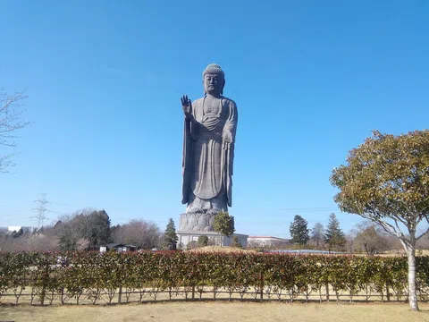 Video: Chiêm ngưỡng tượng Phật cao 38 tầng ở Nhật Bản