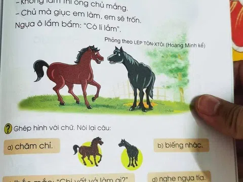 SGK Tiếng Việt nhiều "sạn": "Bộ GD&ĐT cần giải đáp"