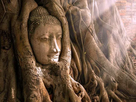 Video: Cận cảnh tượng mặt Phật 700 năm tuổi ẩn mình trong rễ cây cổ thụ tại Thái Lan