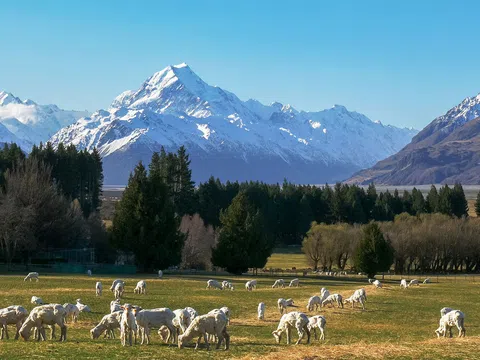 Video: Vẻ đẹp thơ mộng của vùng đất New Zealand