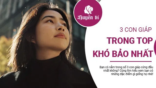 Bí mật đằng sau sự cứng đầu của 3 con giáp này