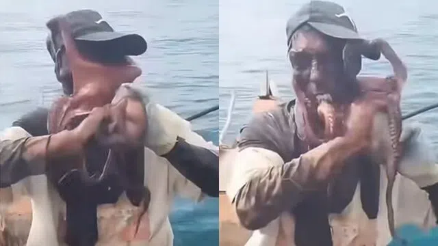 Ngỡ phim kinh dị nhưng là thật: Ngư dân suýt bị bạch tuộc "nuốt chửng" khuôn mặt trên thuyền