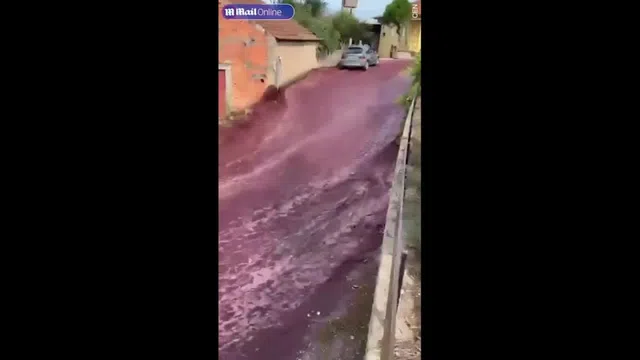 Clip: Dòng sông rượu vang đỏ chạy qua khu dân cư gây kinh ngạc
