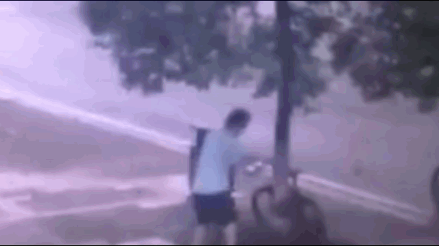 Clip: "Chơi lớn", thanh niên cưa đổ cây trên phố để trộm xe đạp