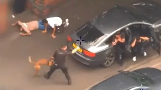 Clip: Khoảnh khắc cảnh sát và chó nghiệp vụ bắt nhóm tội phạm như phim hình sự
