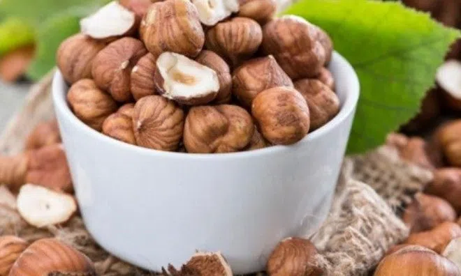 Hạt phỉ là hạt gì? Tác dụng đặc biệt của hạt phỉ và những ai nên ăn hạt phỉ