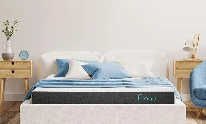 Vừa lộ diện đã được dân tình rầm rộ săn đón, “siêu phẩm” nệm Fiona có gì “hot”?