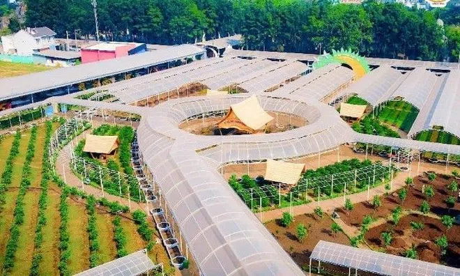 Suối Tiên chào đón Quốc Khánh 2/9 và kỷ niệm 27 năm thành lập với nhiều hoạt động sôi nổi