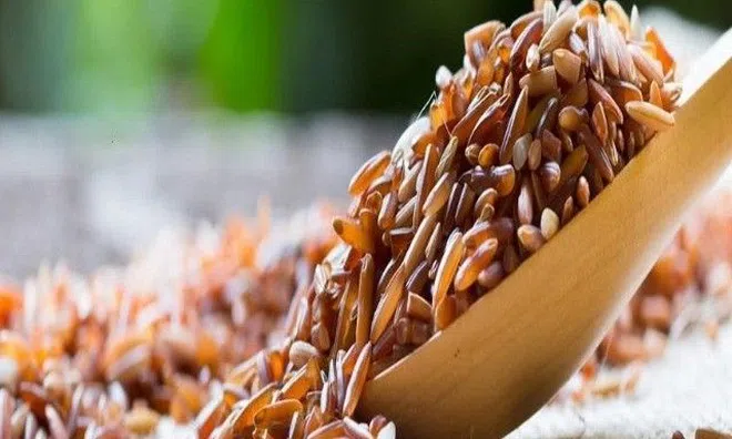 Herbest ra mắt sản phẩm Bún gạo thảo dược đầu tiên tại Việt Nam