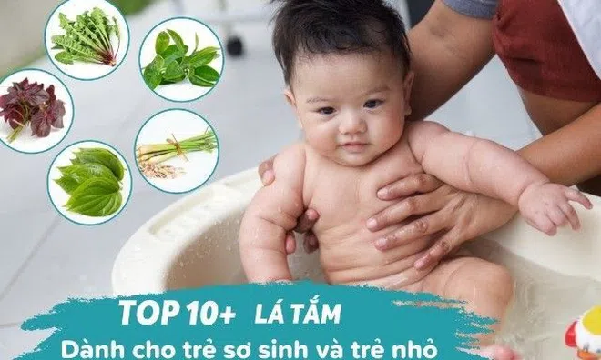 Top 10+ lá tắm dành cho trẻ sơ sinh và trẻ nhỏ