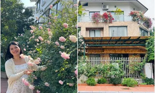 Mẹ đảm Hà Nội trồng hoa hồng đẹp tựa trời Tây, hàng xóm kéo đến check-in như trẩy hội