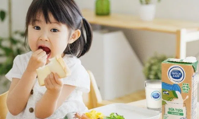 Dấu ấn bền vững dẫn đầu của Cô Gái Hà Lan trong ngành sữa