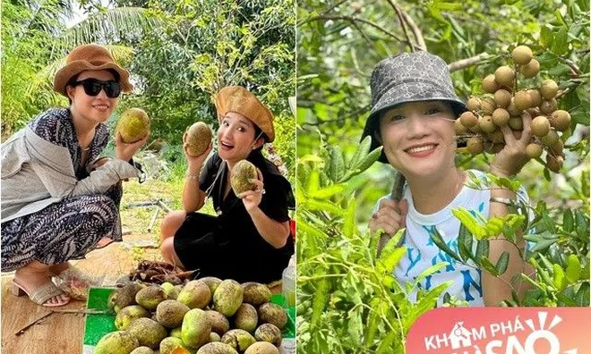MC Cát Tường khoe cây trái sum suê trong vườn nhà 600m2, từng tự hỏi "Cây có trái sao em chưa có chồng?"