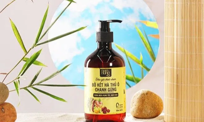 Dầu gội Nam Nung và sứ mệnh bảo vệ mái tóc phụ nữ Việt