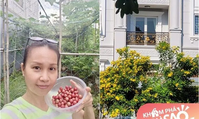 Cẩm Ly mộc mạc hết sức trong vườn, sưng hết tay chân khi hái quả tuổi thơ trước biệt thự khủng